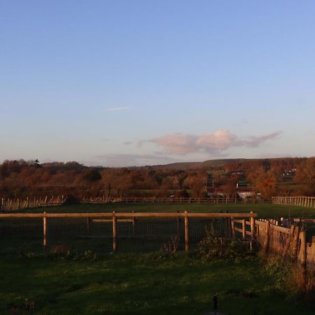 Mapperton Barn House B&B Nr Stourhead & Longleat Mere  Εξωτερικό φωτογραφία